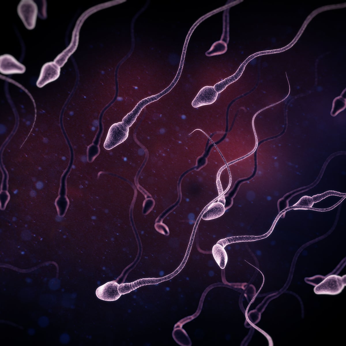 KÉP: https://www.theguardian.com/lifeandstyle/2017/jul/25/sperm-counts-among-western-men-have-halved-in-last-40-years-study